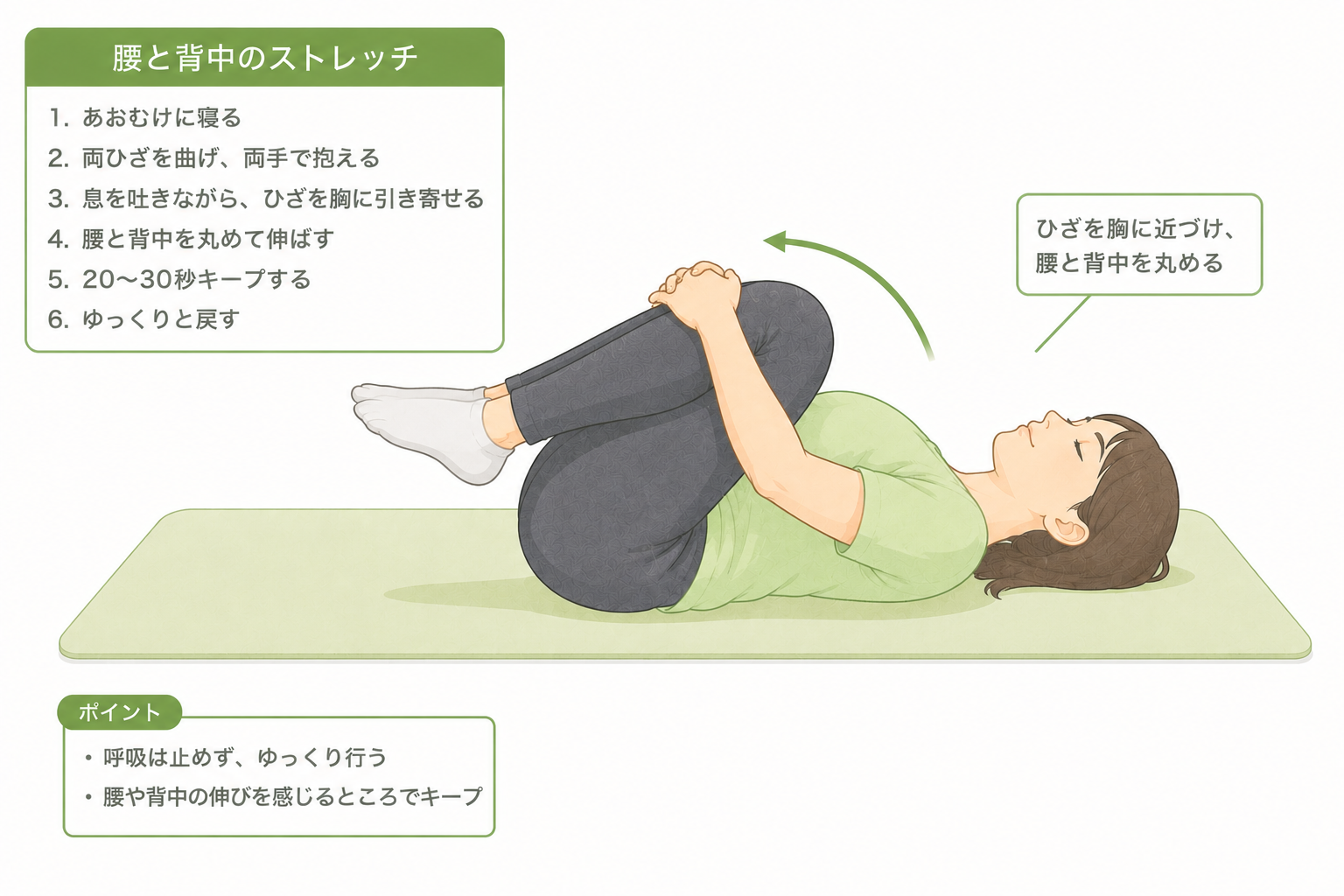 あおむけで両ひざをかかえ、胸に引き寄せて腰から背中をゆるめるストレッチ