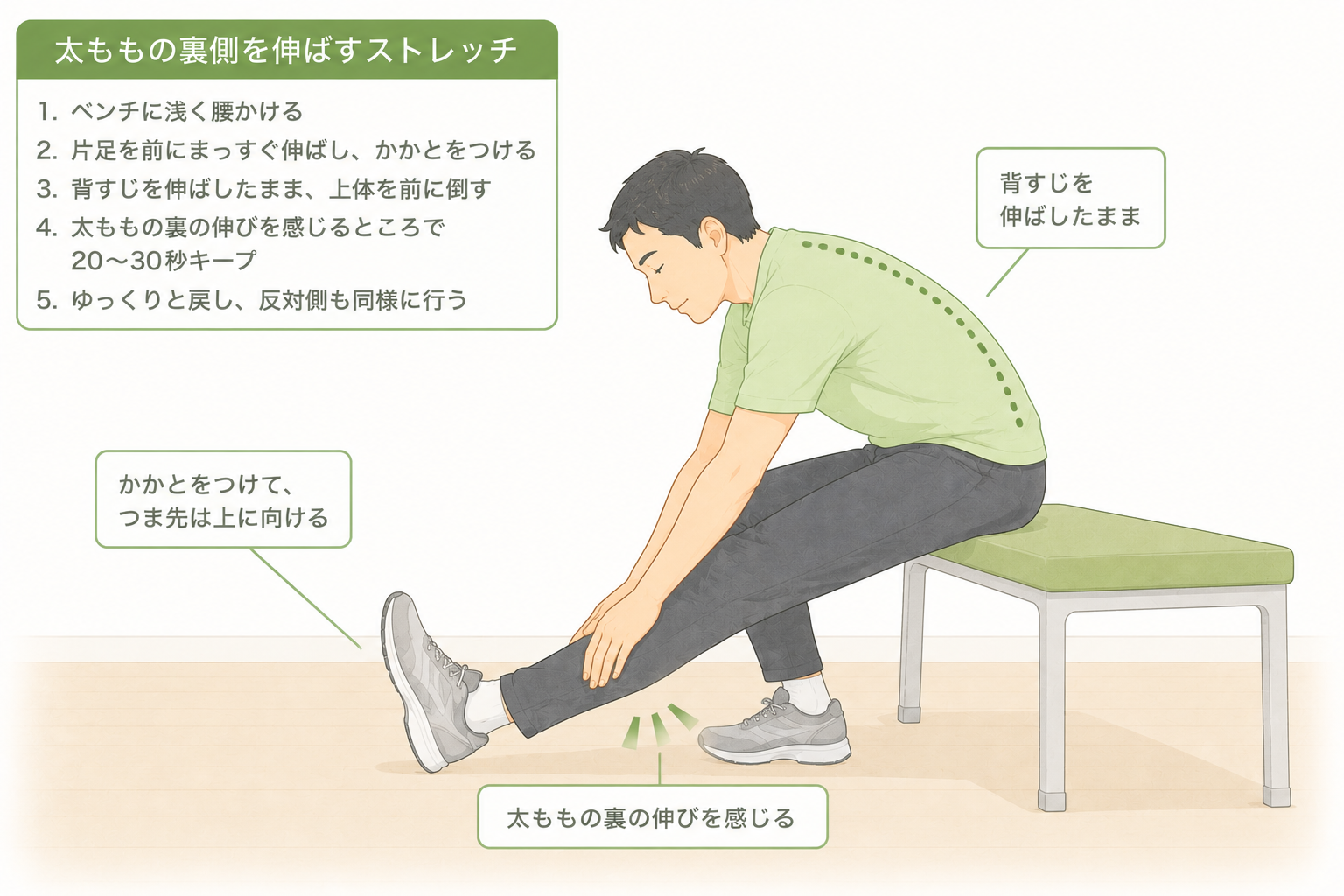 ベンチに浅く腰かけて片足を前に伸ばし、背すじを保ったまま上体を前に倒して太もも裏を伸ばすストレッチ